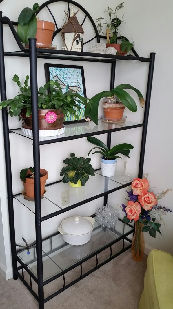 20150226_094103.jpg image