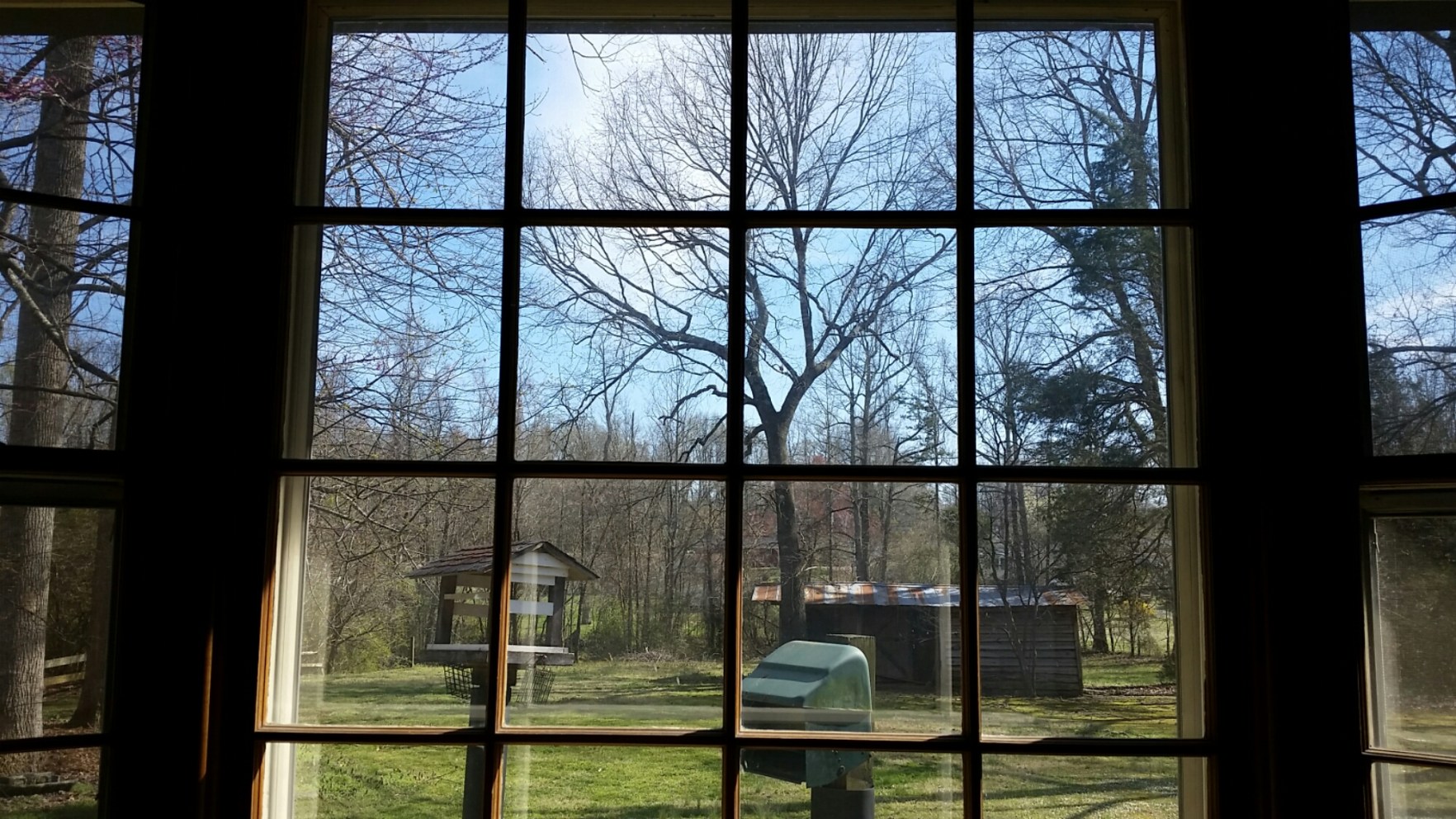 20150329_161614.jpg image