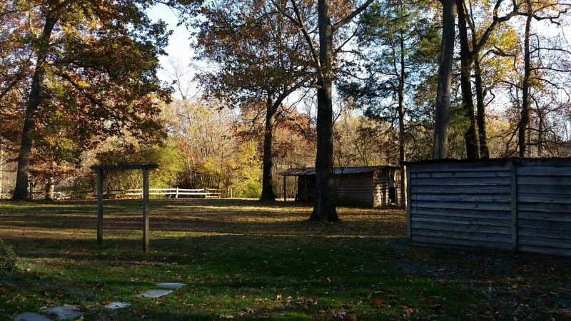 20141115_153650.jpg image