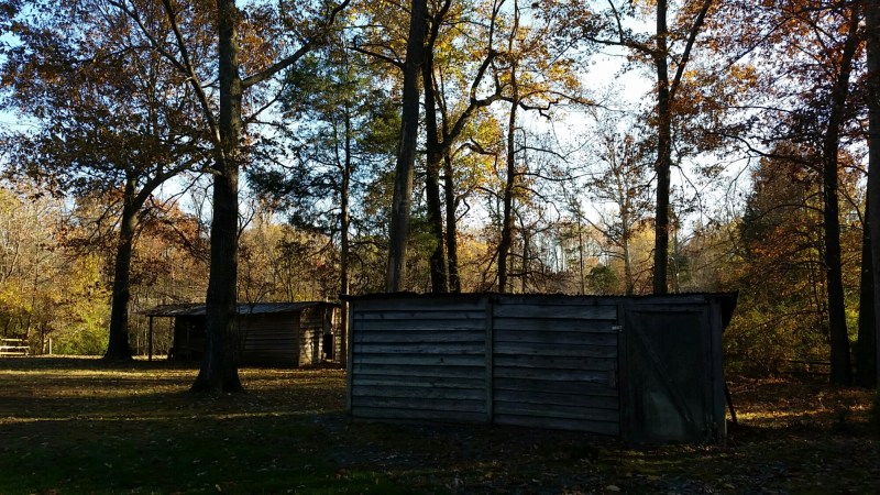 20141115_153712.jpg image