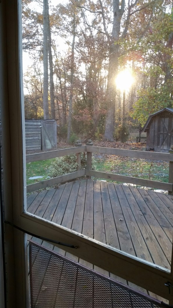 20141115_162215.jpg image