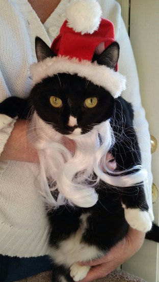 20141128_152306(0).jpg image