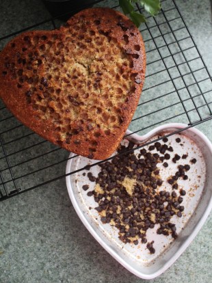 20200415132349_IMG_1517