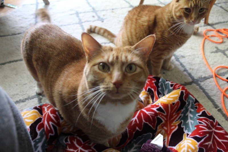 20200415145006_IMG_1532