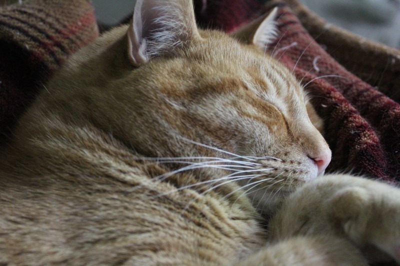 20200423104133_IMG_1573