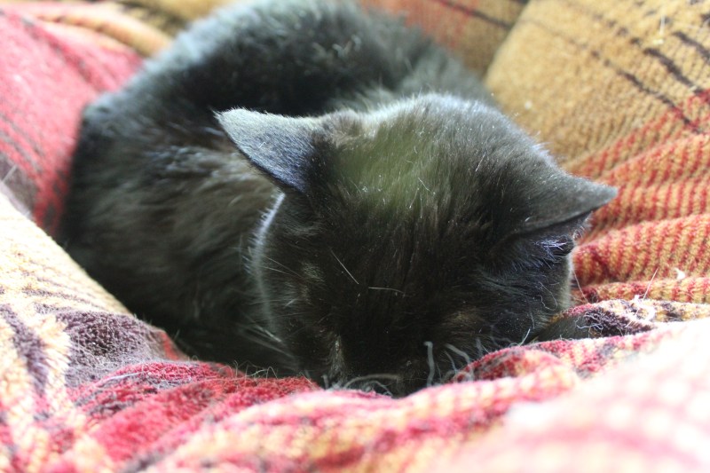 20200427133610_IMG_1657