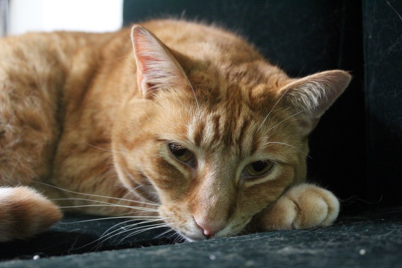 20200603132313_IMG_1929